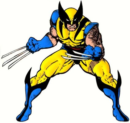 Wolverine B&Y1